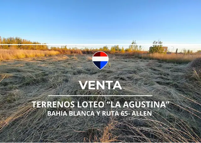VENTA DE TERRENOS EN LOTEO "LA AGUSTINA" DE ALLEN