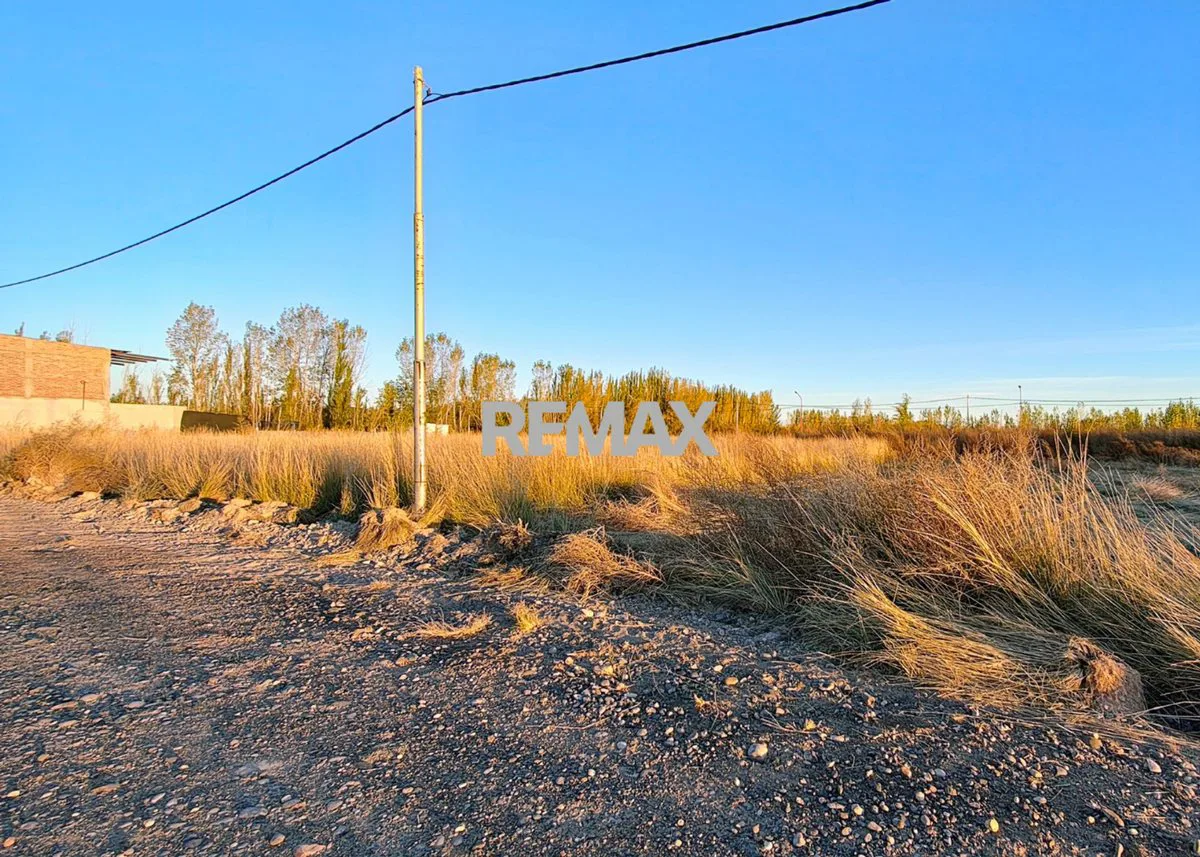 VENTA DE TERRENOS EN LOTEO "LA AGUSTINA" DE ALLEN foto 3