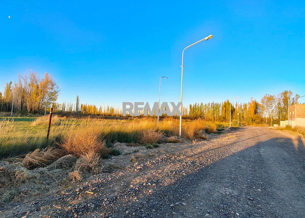 VENTA DE TERRENOS EN LOTEO "LA AGUSTINA" DE ALLEN foto 4