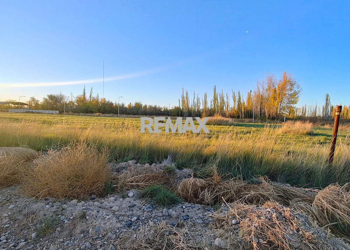 VENTA DE TERRENOS EN LOTEO "LA AGUSTINA" DE ALLEN foto 5