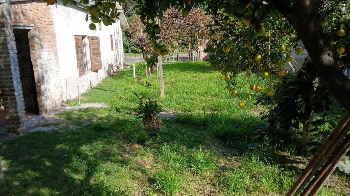 VENTA CASA CON TERRENO DE 6826 M2 EN SAN JAVIER foto 5