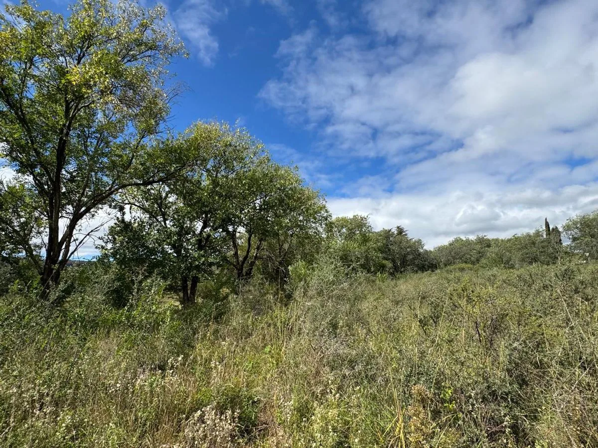 VENTA DE TERRENO EN LA CUMBRE foto 3