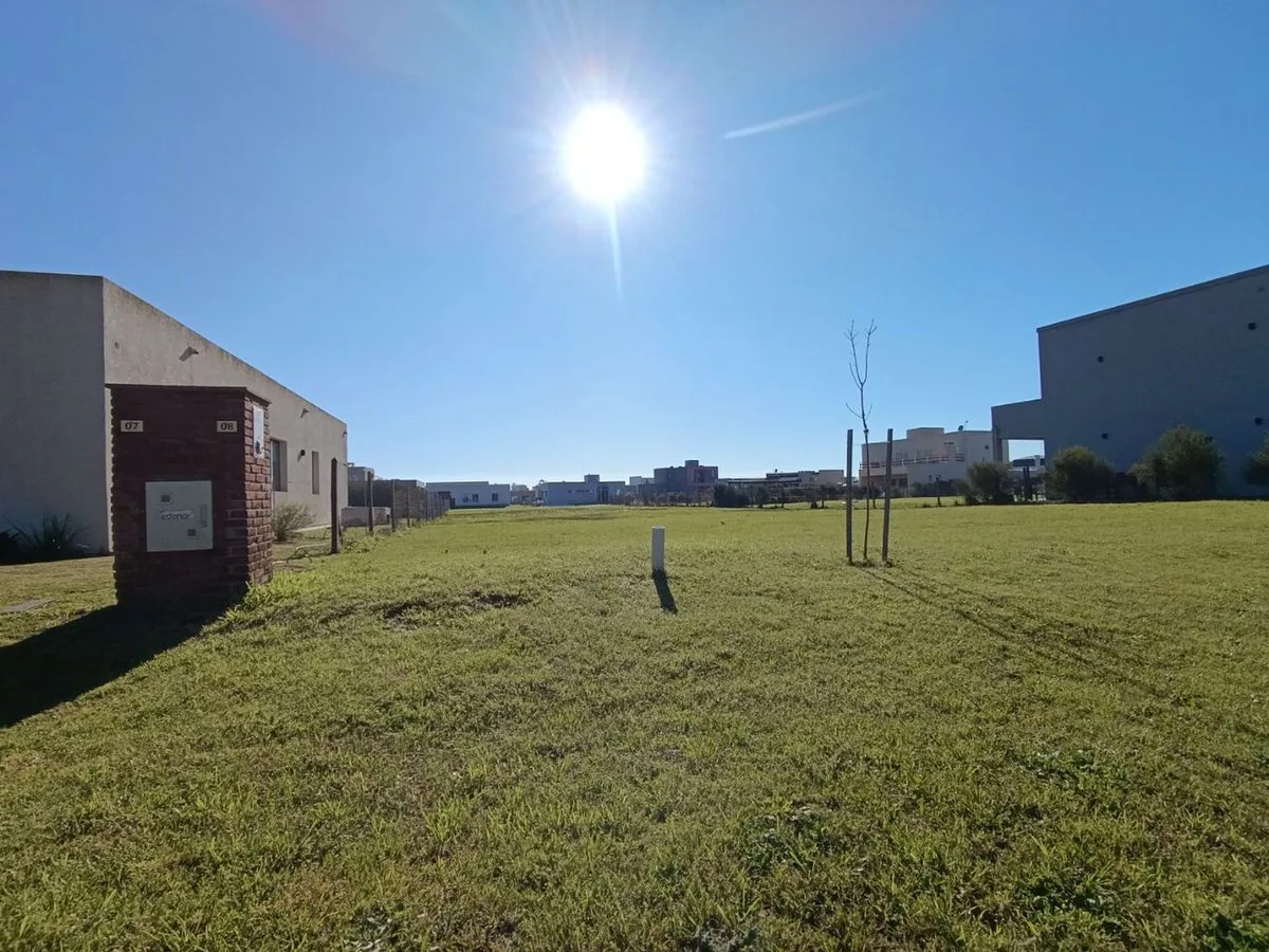 VENTA LOTE 700MTS M. BELGRANO MASCHWITZ foto 5