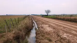CAMPO 25 Ha EN LUIS PALACIOS 100% AGRÍCOLA foto 1