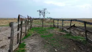 CAMPO 25 Ha EN LUIS PALACIOS 100% AGRÍCOLA foto 5