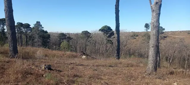 Terreno en Potrerillo Pueblo de Montaña en Potrero de Garay