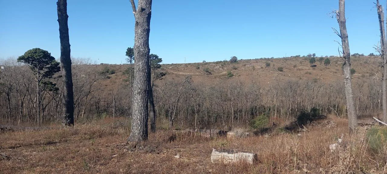 Terreno en Potrerillo Pueblo de Montaña en Potrero de Garay foto 2