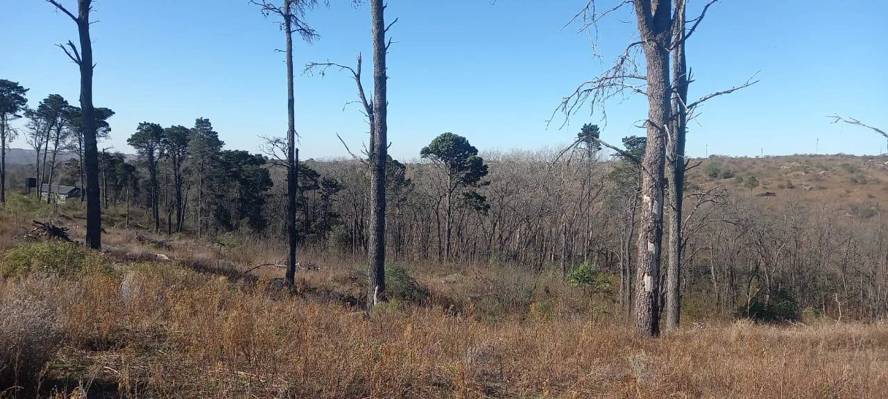 Terreno en Potrerillo Pueblo de Montaña en Potrero de Garay foto 5