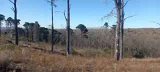 Terreno en Potrerillo Pueblo de Montaña en Potrero de Garay foto 5