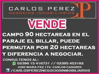 CAMPO 90 HECTAREAS EN EL PARAJE EL BILLAR, CARLOS CASARES foto 1