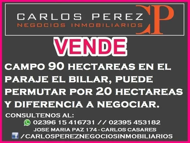 CAMPO 90 HECTAREAS EN EL PARAJE EL BILLAR, CARLOS CASARES