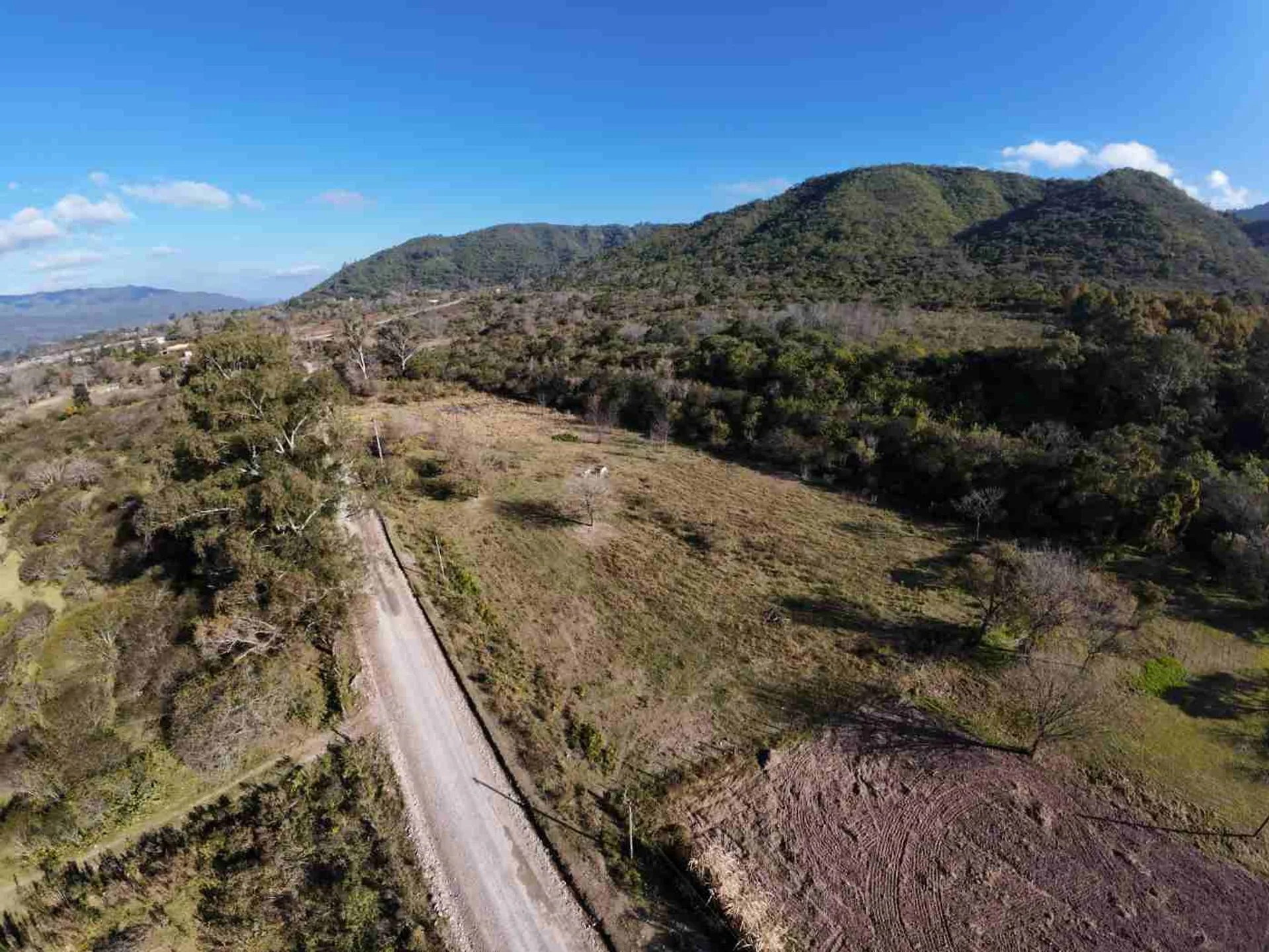 VENTA 1 HECTAREA EN LOZANO NORTE por EXRNN9 foto 2