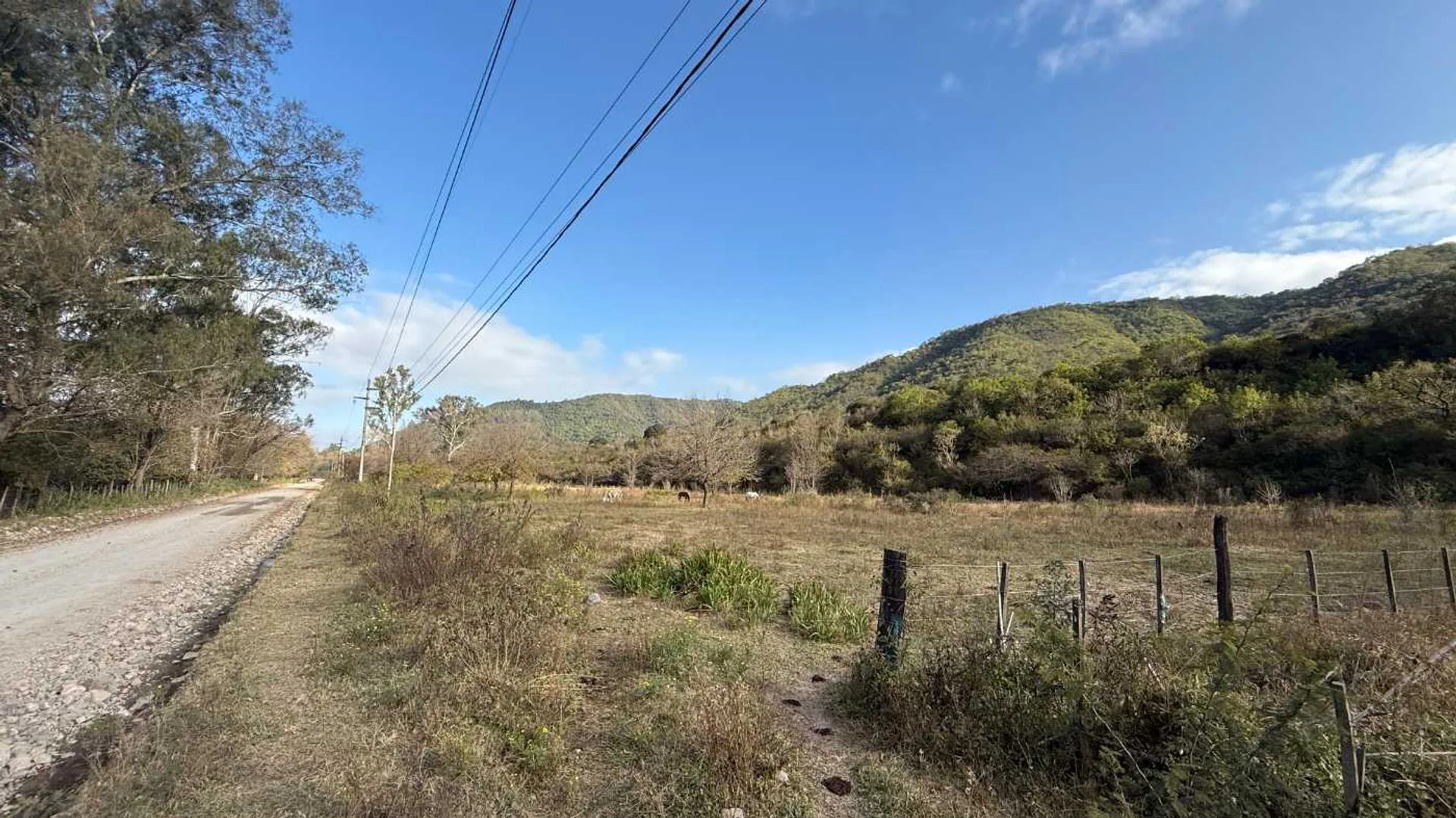 VENTA 1 HECTAREA EN LOZANO NORTE por EXRNN9 foto 3
