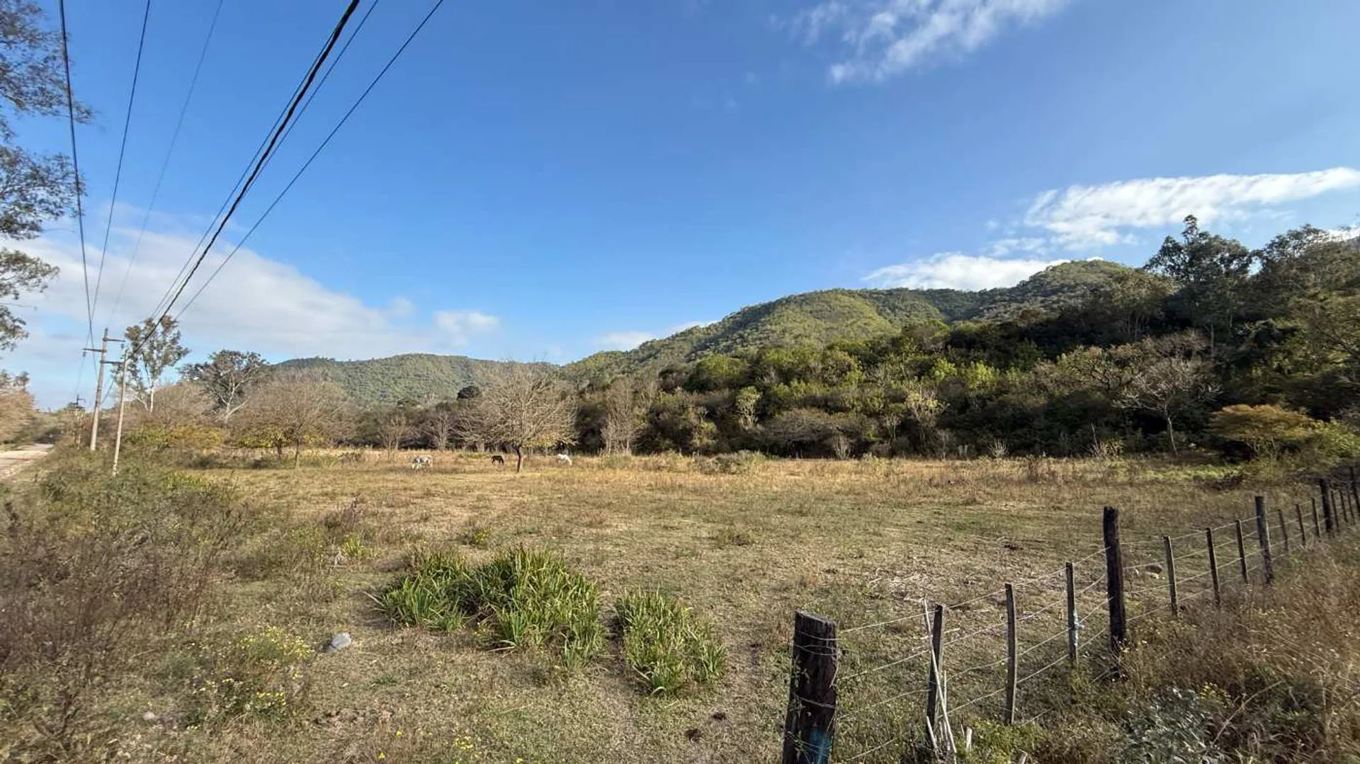VENTA 1 HECTAREA EN LOZANO NORTE por EXRNN9 foto 4