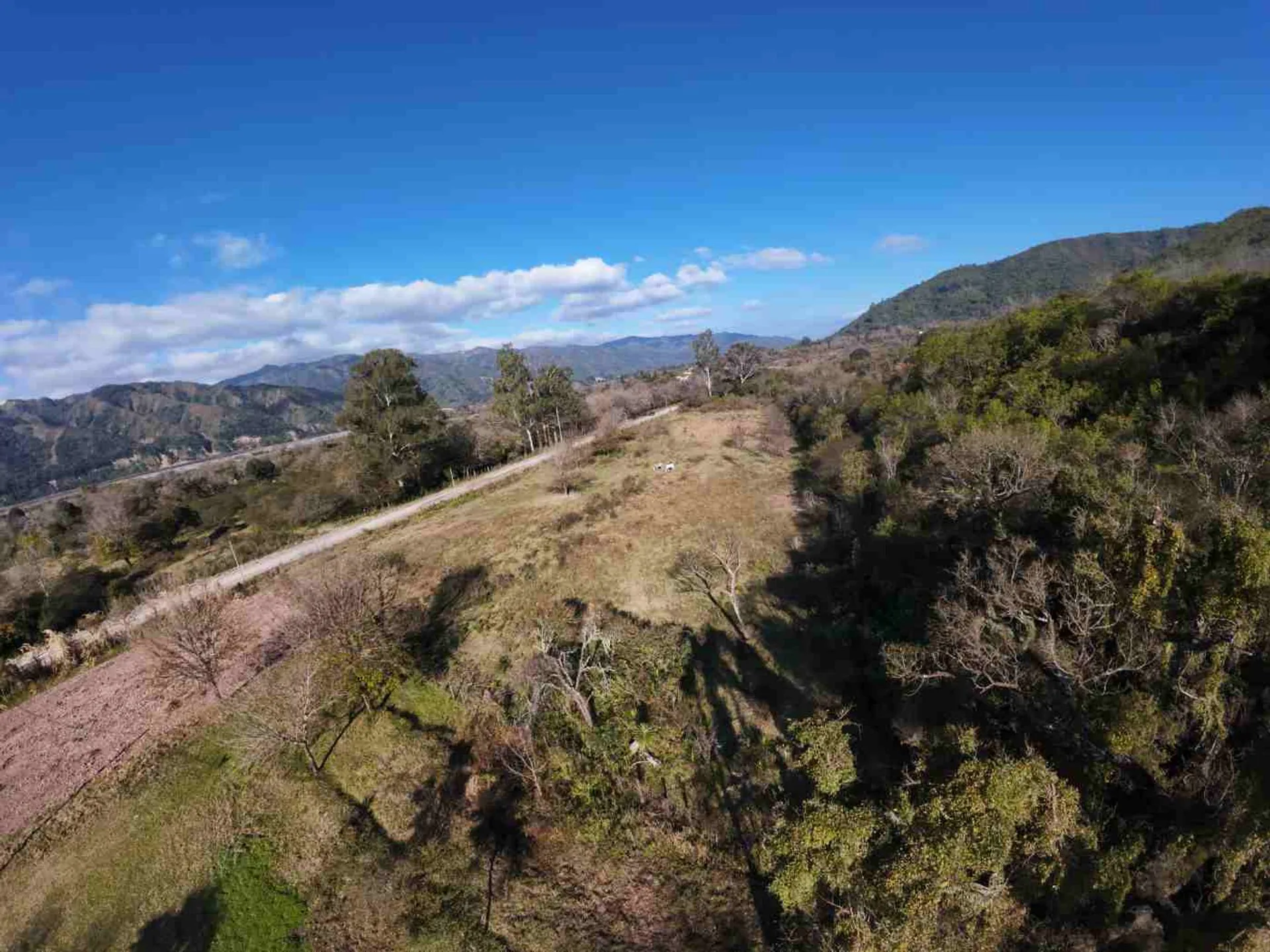 VENTA 1 HECTAREA EN LOZANO NORTE por EXRNN9 foto 5