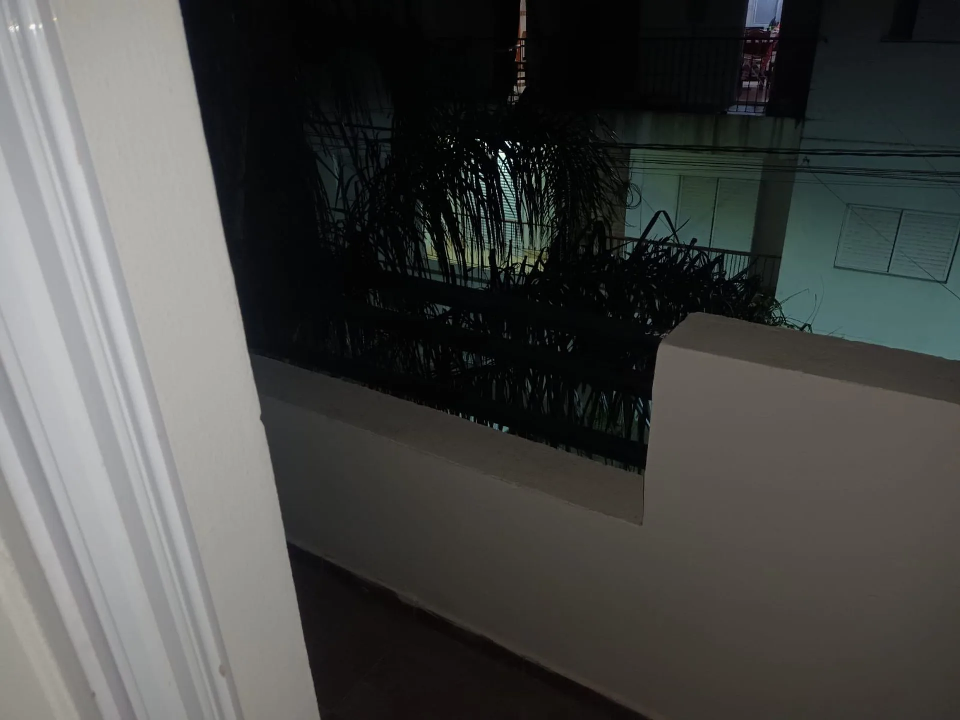 Dpto en alquiler a metros de La Cuenca del Plata foto 3