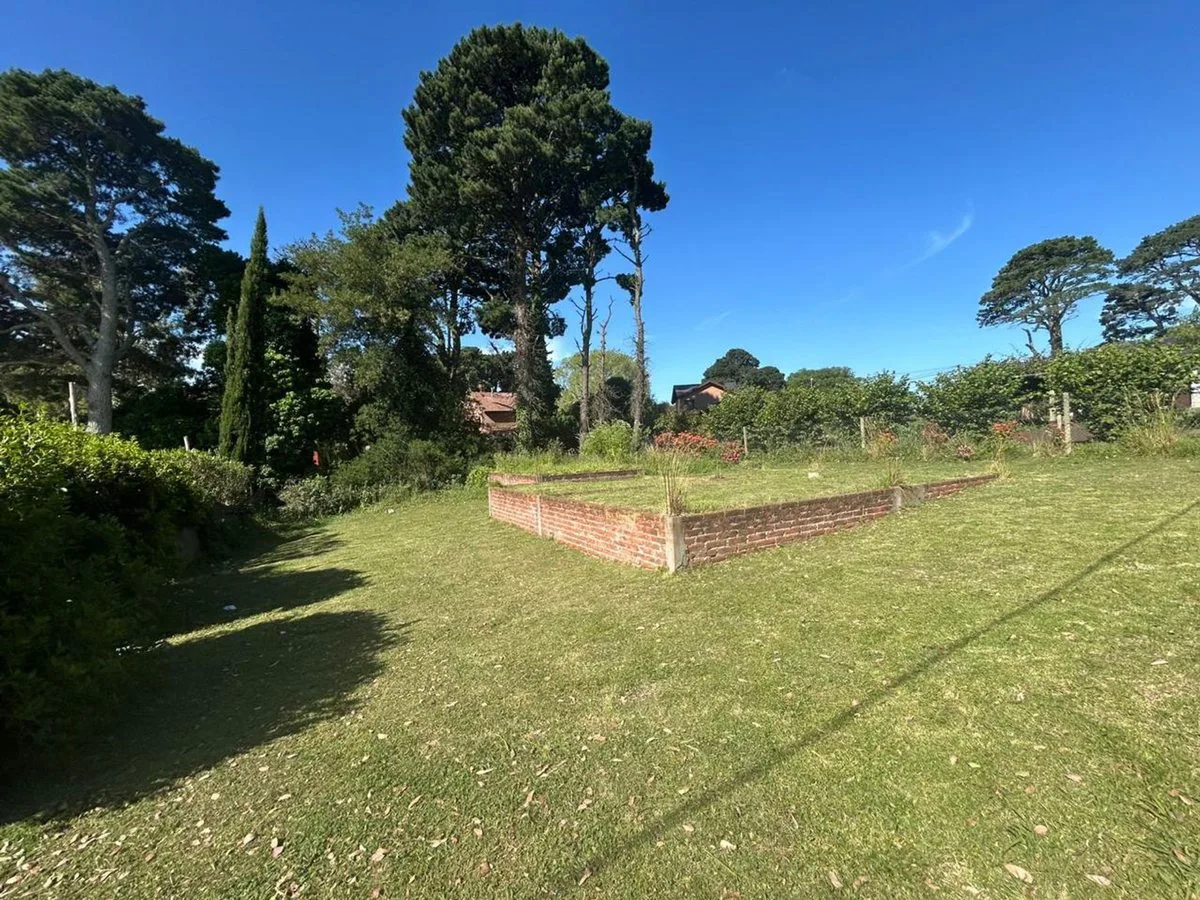 VENTA DE LOTE EN SIERRA DE LOS PADRES OPORTUNIDAD! foto 3