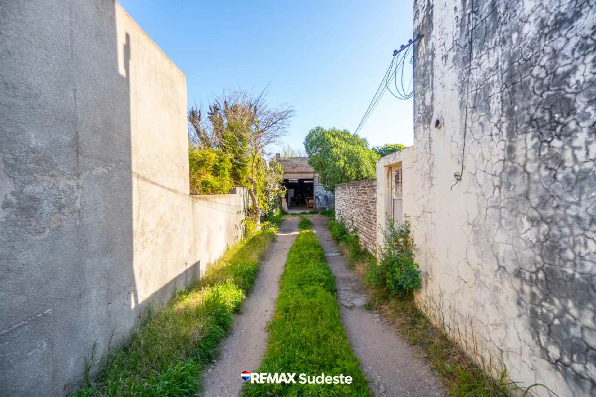 VENTA CASA 3 AMBIENTES CON GALPÓN 9 DE JULIO 1500 foto 3