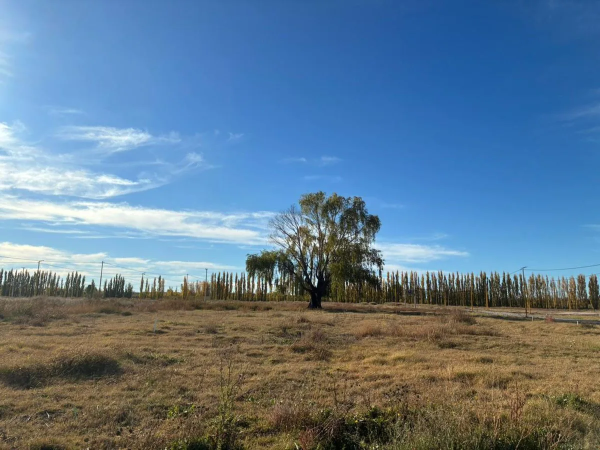 TERRENO EN VENTA EN LOTEO LA RUFINA II foto 4