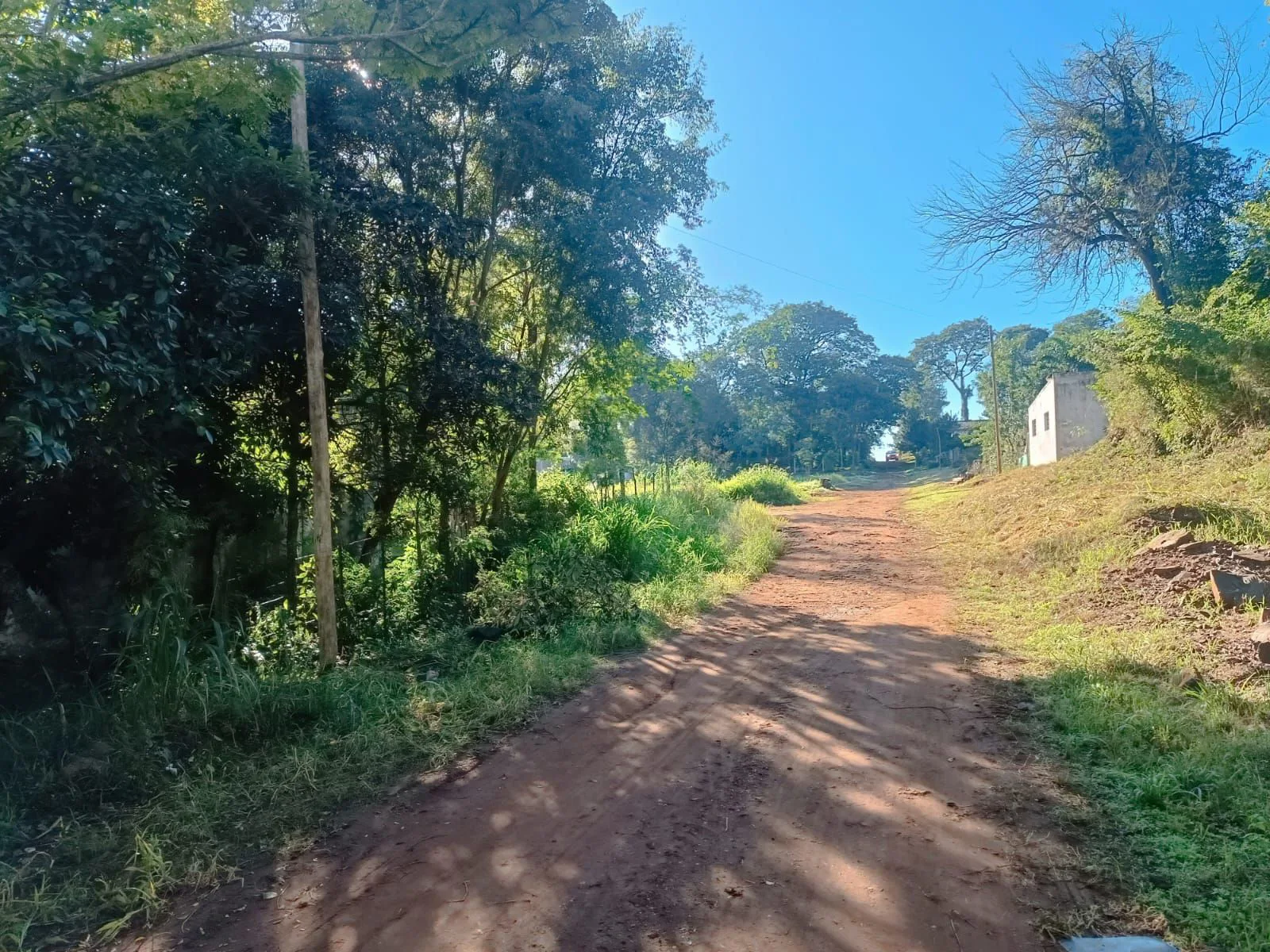 vendo o permuto Terrenos en venta Colectora Ruta 12 km 12 Garupa cercanos a Saladita foto 2