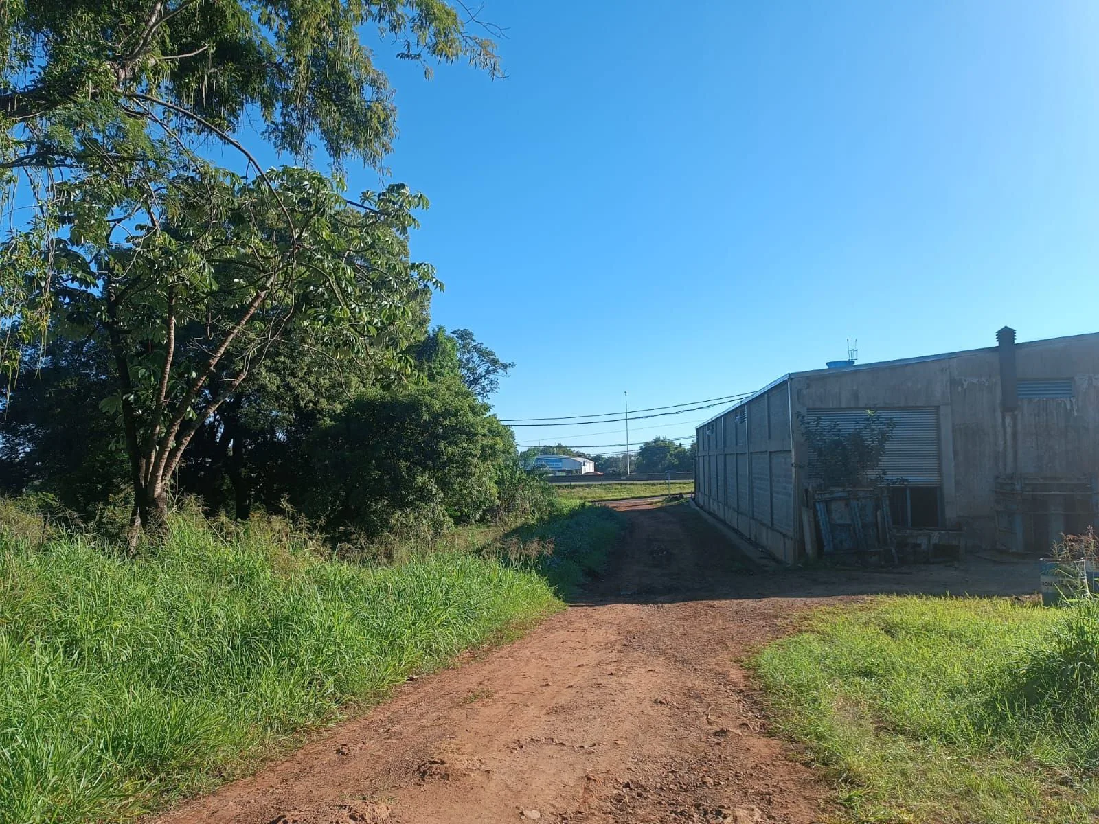 vendo o permuto Terrenos en venta Colectora Ruta 12 km 12 Garupa cercanos a Saladita foto 4