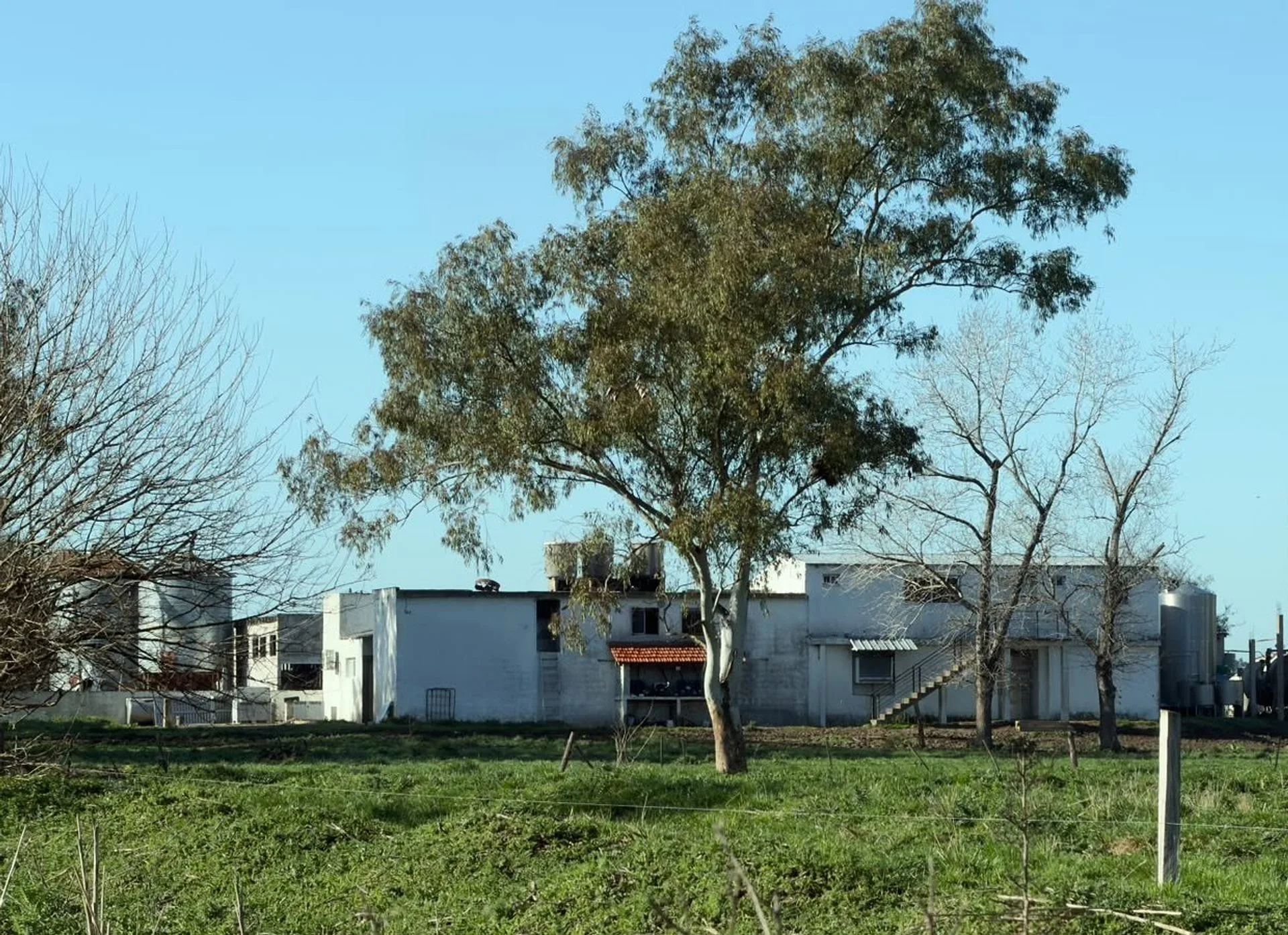 VENTA DE CAMPO EN VIRREY DEL PINO - 312 HECTÁREAS foto 3