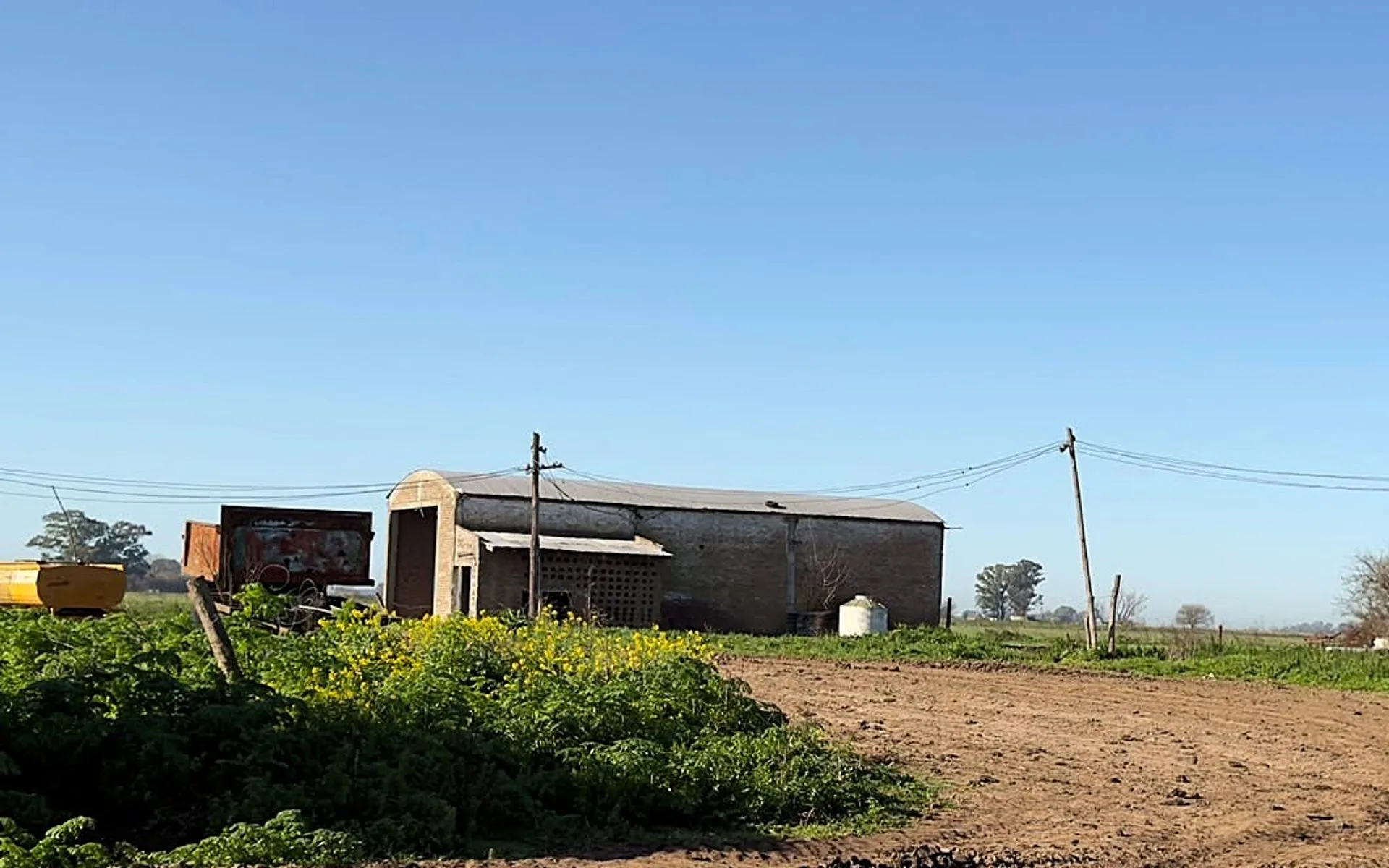 VENTA DE CAMPO EN VIRREY DEL PINO - 312 HECTÁREAS foto 5