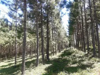 VENDO CHACRA EN ARROYO DEL MEDIO foto 1