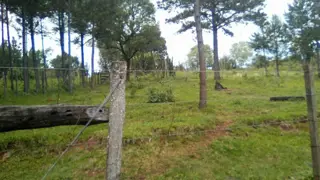 VENDO CHACRA EN ARROYO DEL MEDIO foto 2