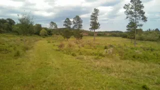 VENDO CHACRA EN ARROYO DEL MEDIO foto 3