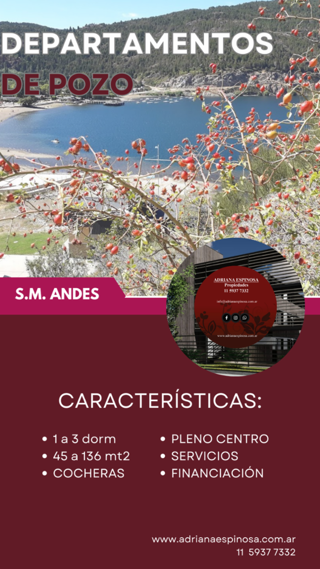 Departamentos de Pozo en San Martín de los Andes Centro. Ideal inversión foto 2