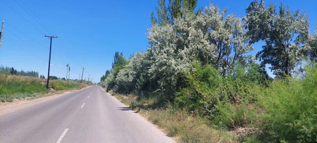 Venta de Lote para desarrollar 200 terrenos! foto 2