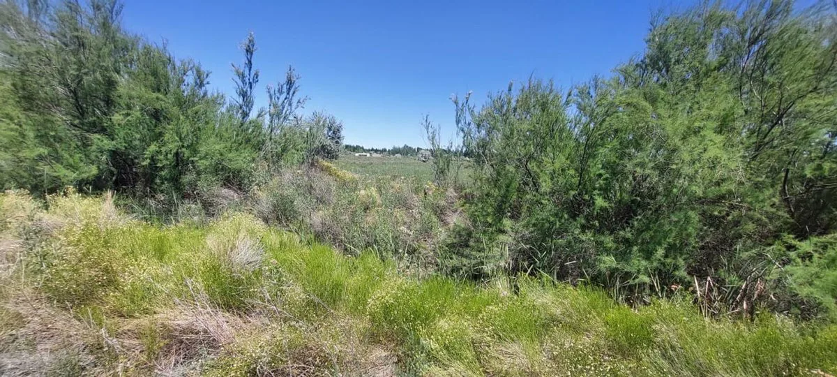 Venta de Lote para desarrollar 200 terrenos! foto 3