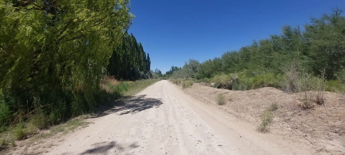 Venta de Lote para desarrollar 200 terrenos! foto 4