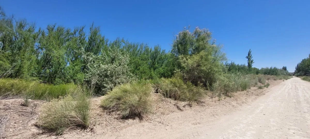 Venta de Lote para desarrollar 200 terrenos! foto 5