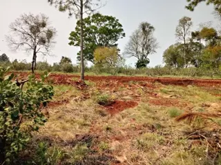 Lote 11 en Loteo Don Carlos: naturaleza, amplitud y una hermosa vista foto 2