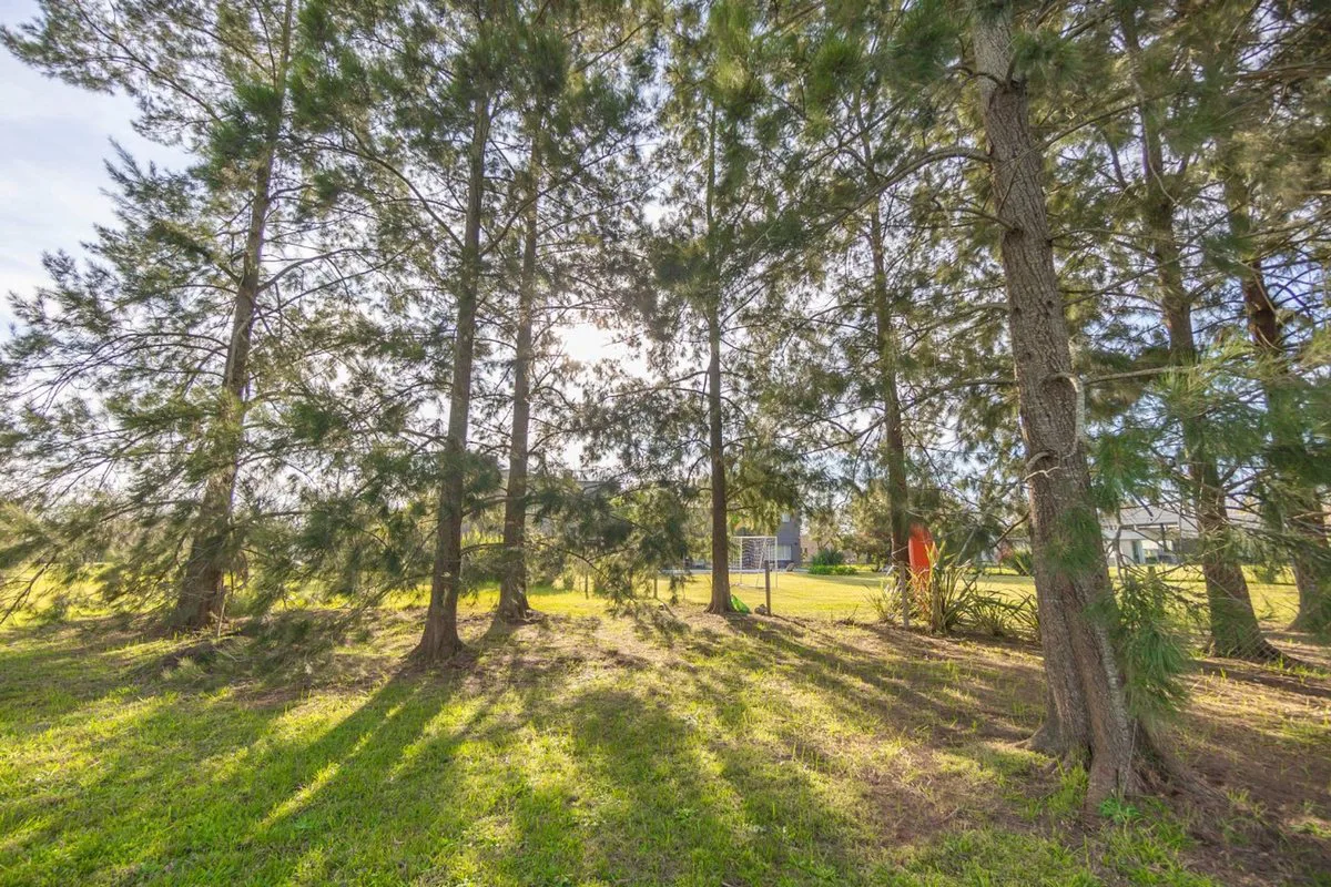 LOTE EN VENTA EN FINCAS DE SAN VICENTE A LA LAGUNA foto 5