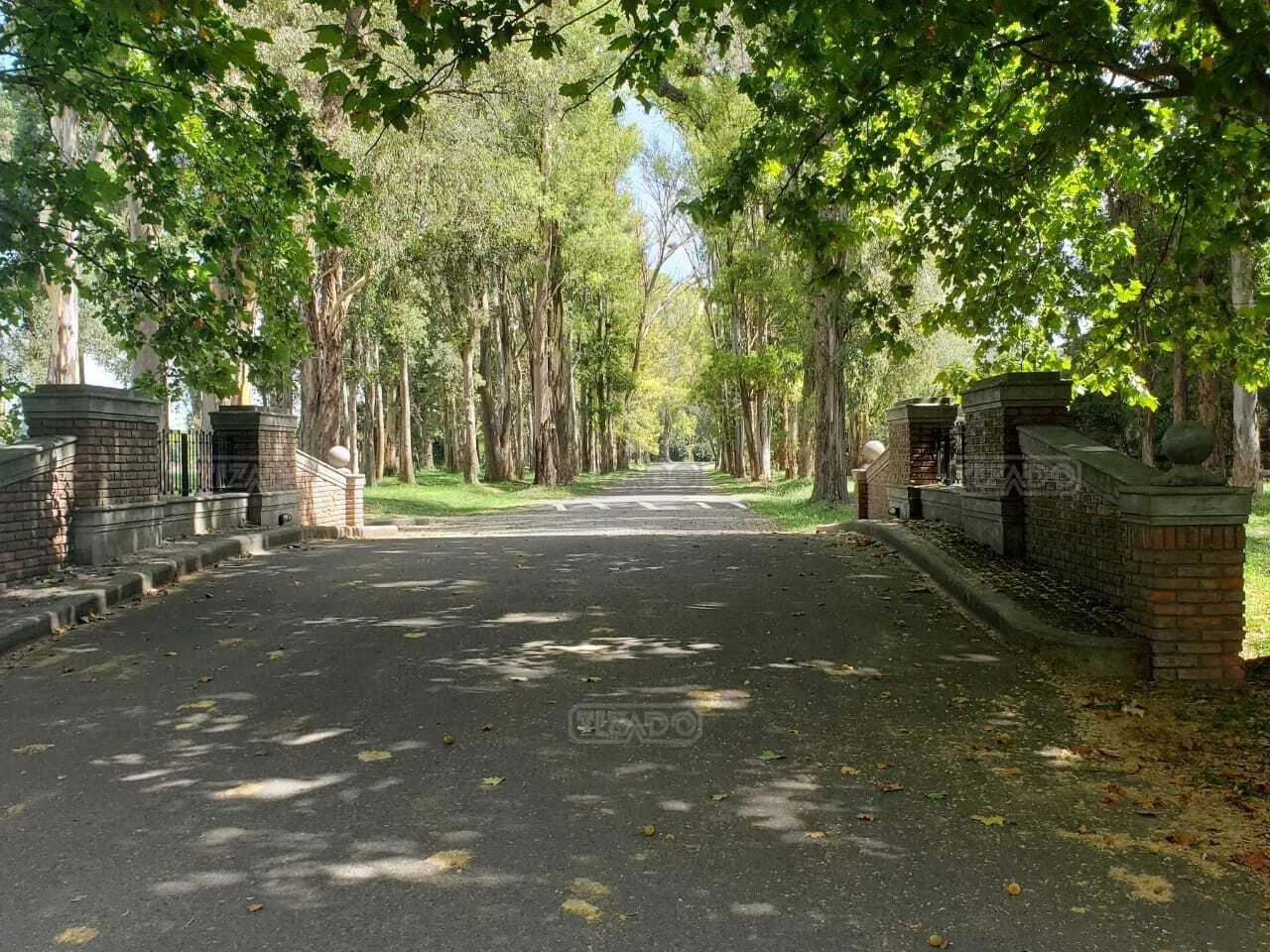 Haras San Pablo Club de Campo foto 2