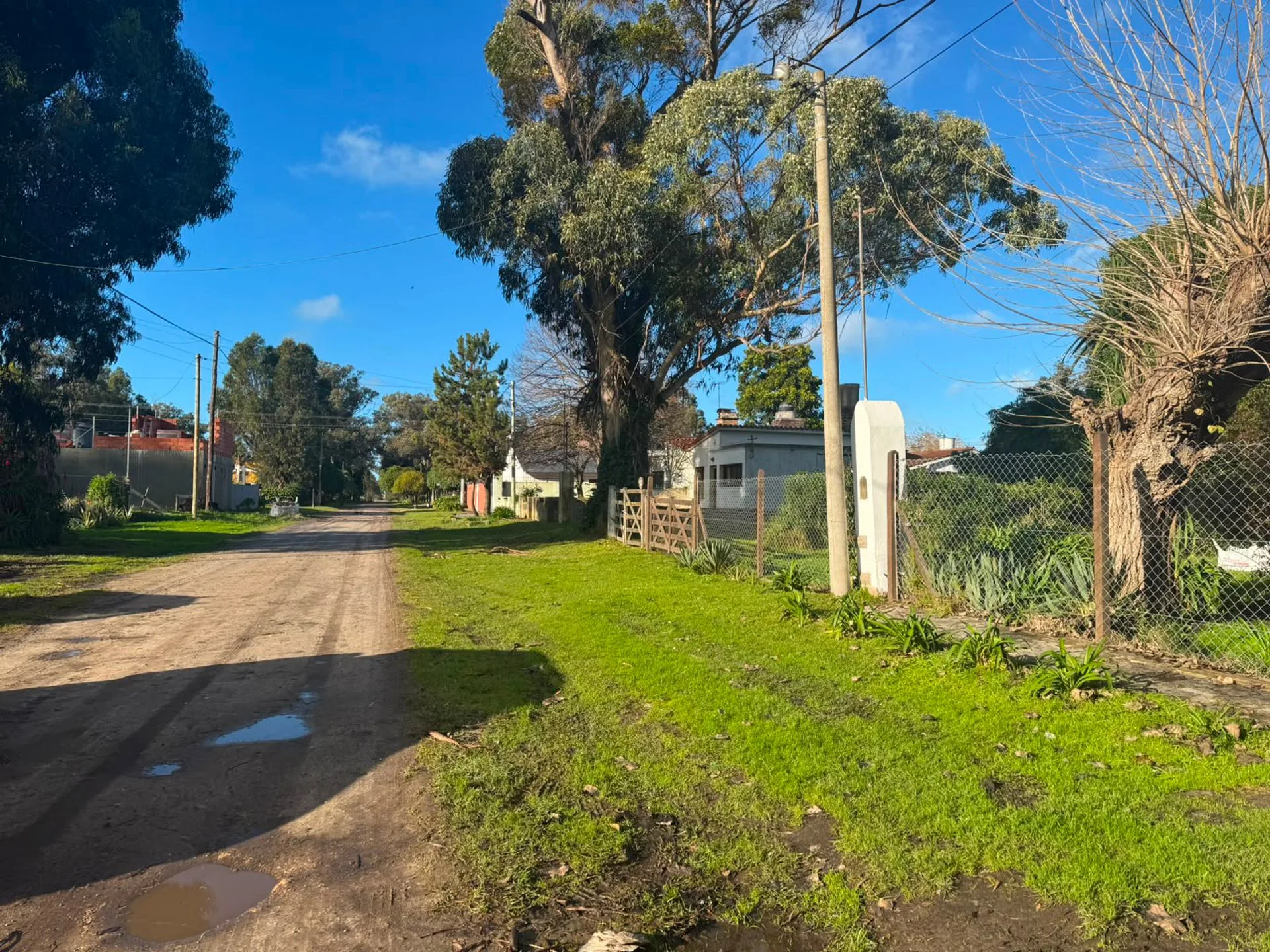 VENTA TERRENO DE 311 MTS B. PARQUE BRISTOL MIRAMAR foto 3