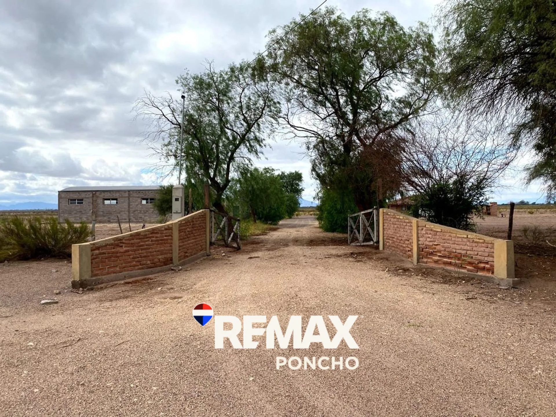 SE VENDE CAMPO EN TINOGASTA 388 Has CHALET, GALPON foto 2