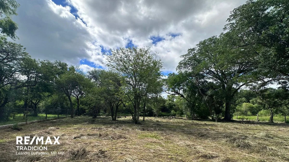 TERRENO EN VENTA - COLONIA BENITEZ