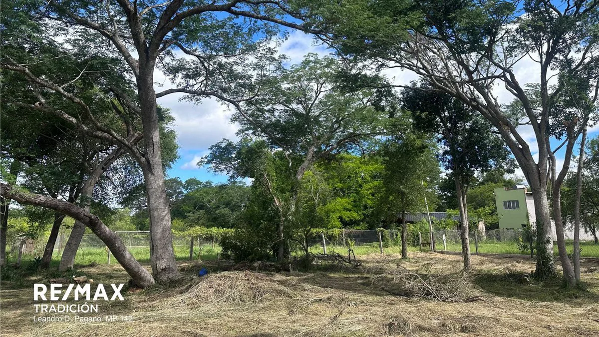 TERRENO EN VENTA - COLONIA BENITEZ foto 2