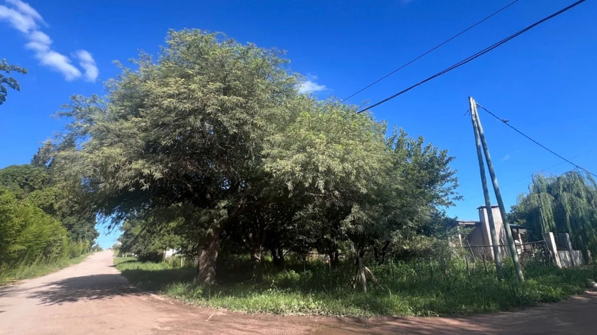 VENTA LOTE VILLA DEL TOTORAL foto 3