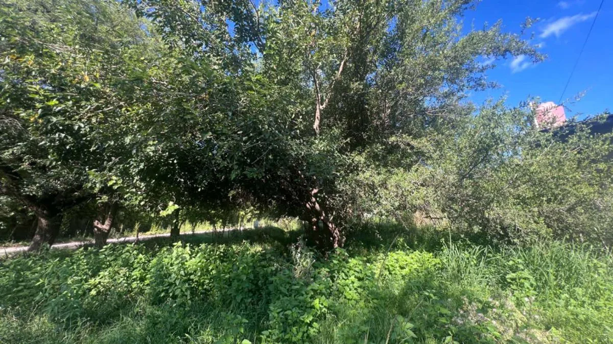 VENTA LOTE VILLA DEL TOTORAL foto 5