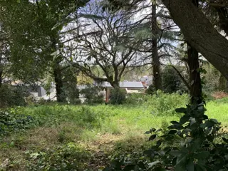 Terreno en Venta - Punta Chica foto 2