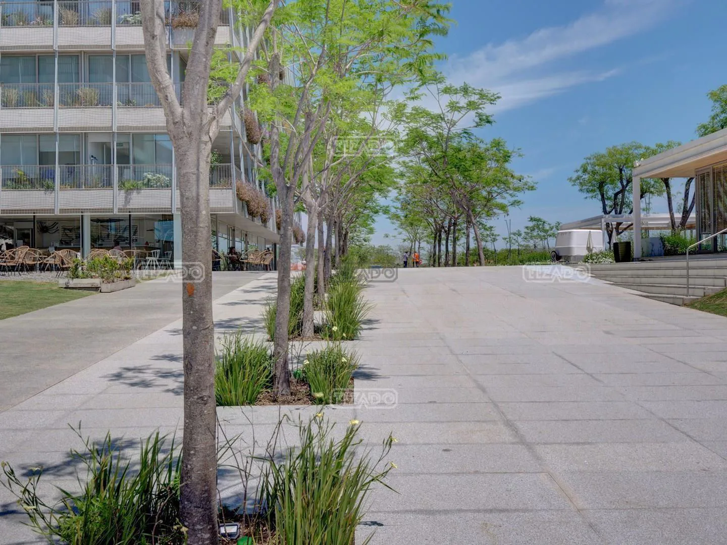 AMARRAS 400 foto 5