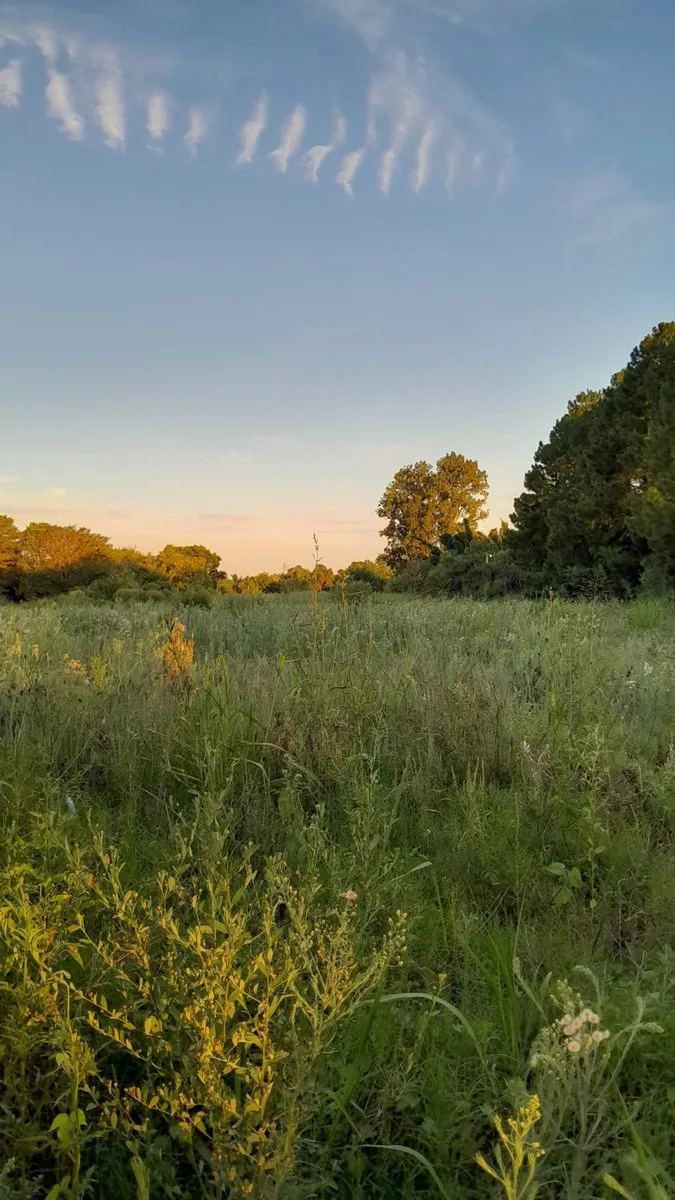 VENTA DE LOTE EN SAN JOSE DEL RINCÓN foto 2