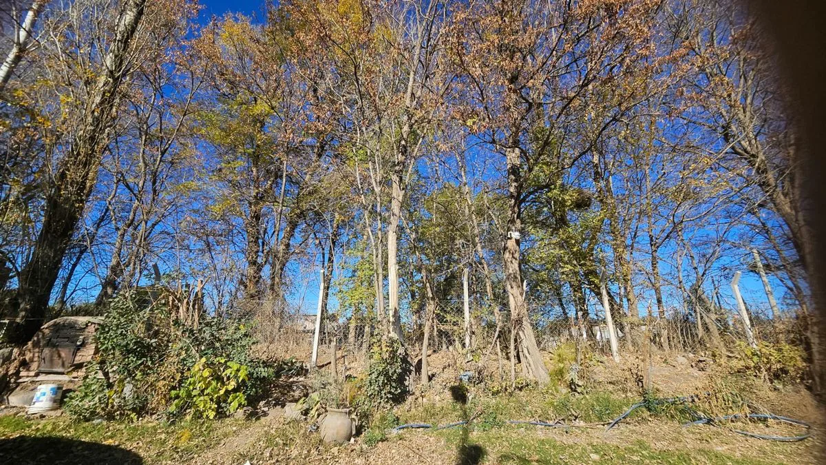 VENTA DE TERRENO en calle Batilana foto 2