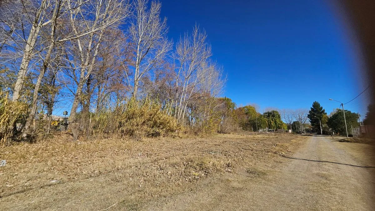 VENTA DE TERRENO en calle Batilana foto 4