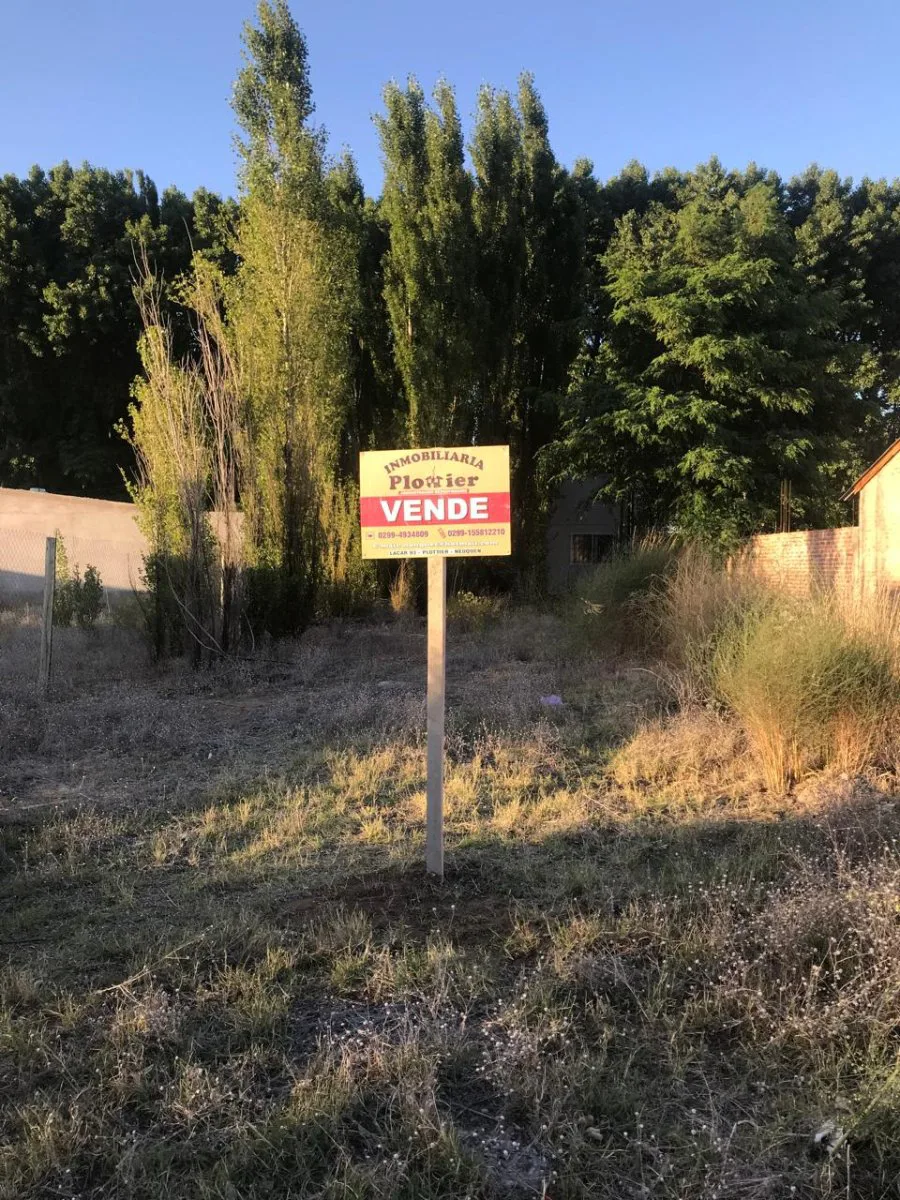 VENTA LOTE PLOTTIER NEUQUEN 12X30 CAMINO DEL SOL URGENTE IMPUESTOS AL DIA EXCELENTE INVERSION foto 2